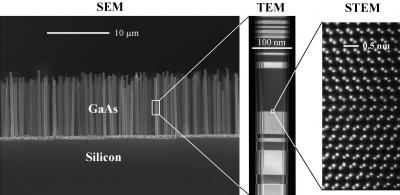 Nanowire crystals are used as the solar cells. The image (left) shows a SEM (Scaning Electron Microscope) image of GaAs nanowire crystal grown on a Silicon substrate. A TEM (Transmission Electron Microscope) image (middle) shows a single nanowire. Further zooming in on the crystal structure, using STEM (Scanning Transmission Electron Microscope) imaging, shows the actual atomic columns (right). Credit:  Niels Bohr Institute 