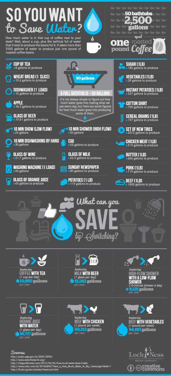 Water Usage Infographic