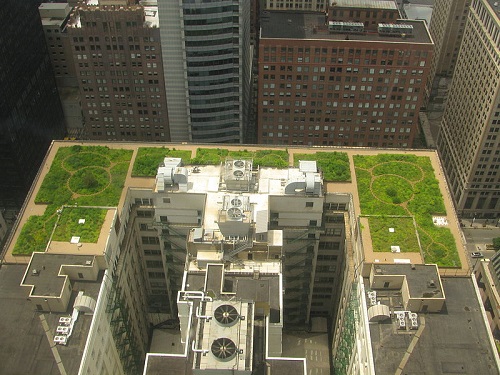 Green roof 800px-20080708_Chicago_City_Hall_Green_Roof -500