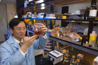 Percival Zhang, an associate professor of biological systems engineering in the Virginia Tech College of Agriculture and Life Sciences and the College of Engineering, has developed an inexpensive, environmentally friendly way to extract hydrogen from plants, a development that could drive the hydrogen fuel cell market. Credit: Virginia Tech