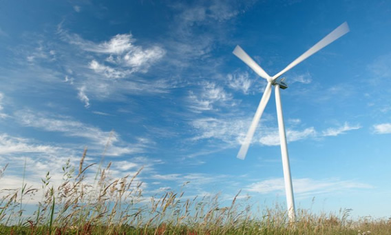 Australia's Macarthur Wind Farm