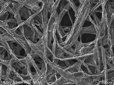 A sliver of wood coated with tin could make a tiny, long-lasting, efficient and environmentally friendly battery. Credit: Maryland NanoCenter