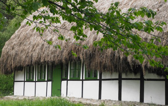 seawed-thatched-roof