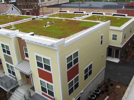 Green-Roof-System-Xero-
