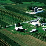 This Michigan farm uses a mix of orchards and field crops. Such diverse farm landscapes are good for the environment and rural economies. Photo credit: Union of Concerned Scientists
