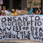 Protesters rally against Monsanto in Orlando, FL in May. Photo courtesy of Shutterstock