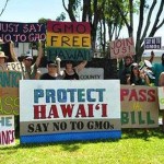 Photo credit: GMO Free Hawaii Island