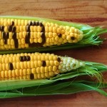 Friends of the Earth set out to investigate how far the genetically modified corn had penetrated the market by 2013. Photo credit: Shutterstock