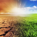 With an awareness of climate change growing and as intensifying floods, fires, droughts and storms become an inescapable feature of daily life across the planet, more people are joining environmental groups and engaging in increasingly bold protest actions. Photo courtesy of Shutterstock