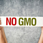 gmo