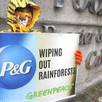 A month after Greenpeace protested at P&G's headquarters, the company has announced a no-deforestation policy. Photo credit: Jimmy Domingo/Greenpeace