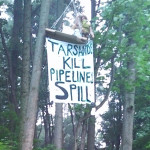 Jessica Clark sitting, tree-sitting in protest of tar sands pipeline on Aug. 7. Photo credit: MI CATS