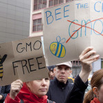 New York March Against Monsanto. Glynnis Jones / Shutterstock.com