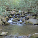 Streams in West Virginia have been damaged as a result of mountaintop coal mine removal, a federal court found this week. Photo credit: Brian Stansberry via Sierra Club