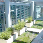 This commercial office building in Washington DC incorporates a green roof, a cistern, plantings that maximize the “curb appeal” of the façade, and reuse of captured rainwater for landscape irrigation—achieving zero stormwater runoff from a 2-year storm or less. More information is available here. Photo credit: Timmons Group, Richmond, VA
