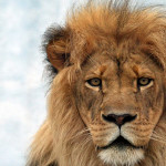 Photo courtesy of Shutterstock