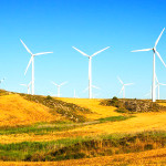 Photo courtesy of Shutterstock