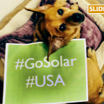gosolardog