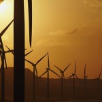 Photo courtesy of Shutterstock