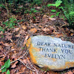 tunature